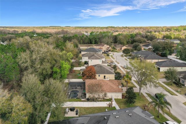 1445 OSPREY RIDGE DRIVE, Eustis, FL 32736