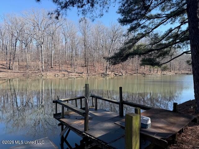 9120 Old Highway 61, Walls, MS 38680