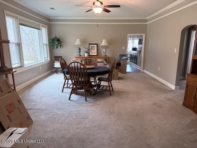 9120 Old Highway 61, Walls, MS 38680