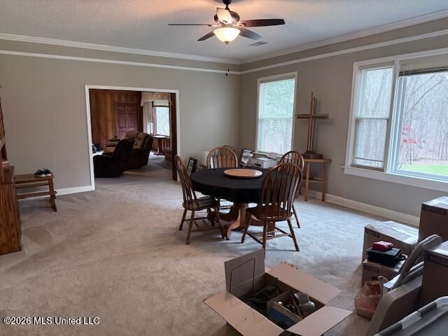 9120 Old Highway 61, Walls, MS 38680