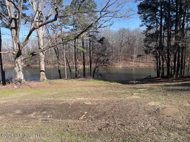 9120 Old Highway 61, Walls, MS 38680