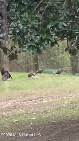 9120 Old Highway 61, Walls, MS 38680