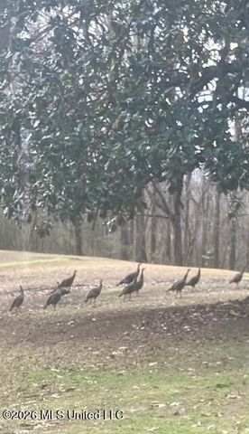 9120 Old Highway 61, Walls, MS 38680