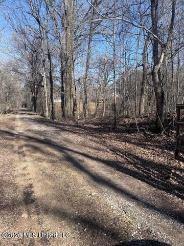 9120 Old Highway 61, Walls, MS 38680