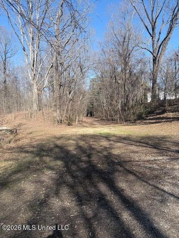 9120 Old Highway 61, Walls, MS 38680