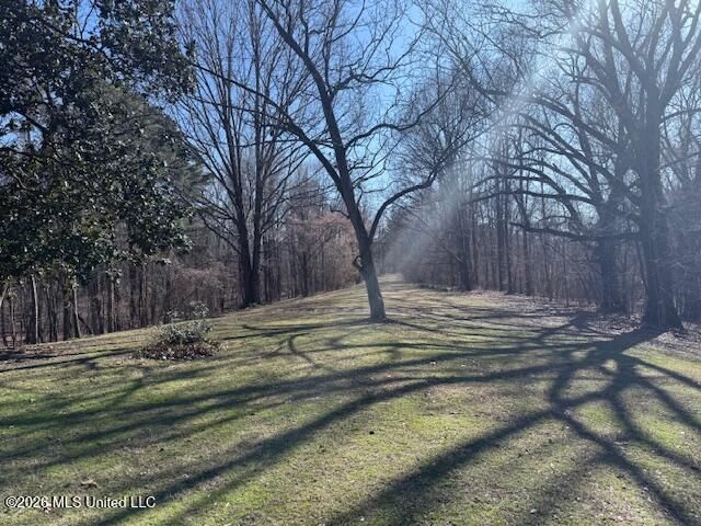 9120 Old Highway 61, Walls, MS 38680