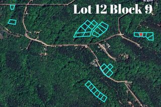 Lot 12 Block 9 (Piney Woods) E 332 Loop, Jay, OK 74346
