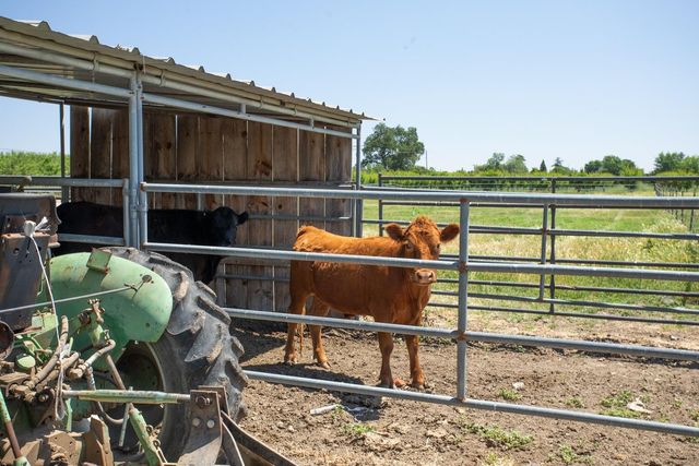 4472 Franklin Rd, Yuba City, CA 95993