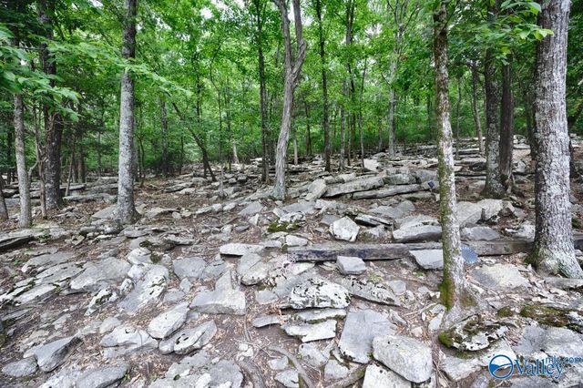 2629 Gawain Road SE, Huntsville, AL 35803