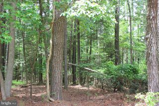 871 BROADSIDE DRIVE, Greenbackville, VA 23356