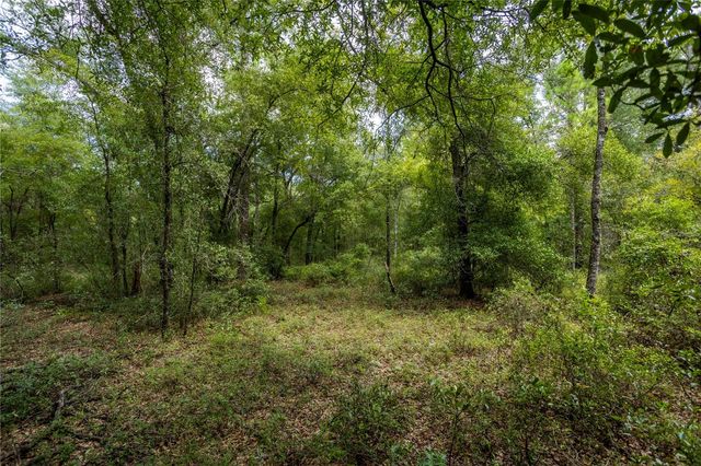 0 NE 81ST STREET, Bronson, FL 32621