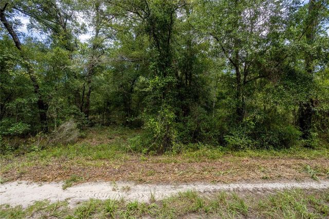 0 NE 81ST STREET, Bronson, FL 32621