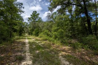 0 NE 81ST STREET, Bronson, FL 32621