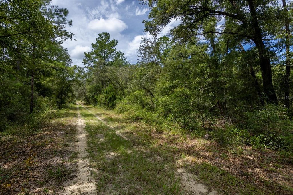 0 NE 81ST STREET, Bronson, FL 32621