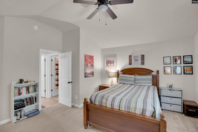 205 Amber Ridge Trail, Irmo, SC 29063