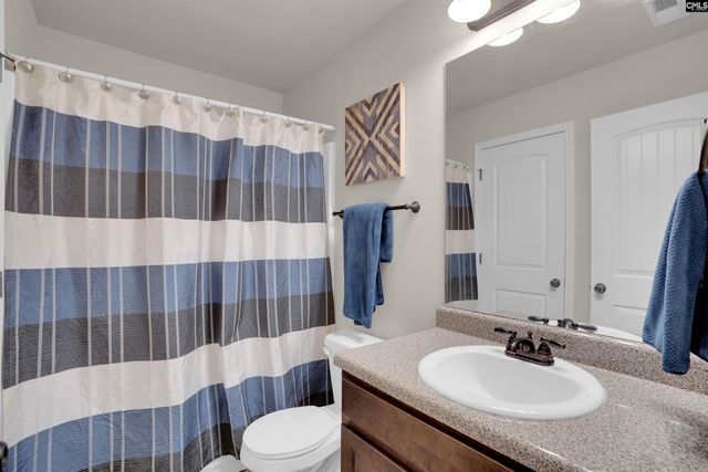 205 Amber Ridge Trail, Irmo, SC 29063