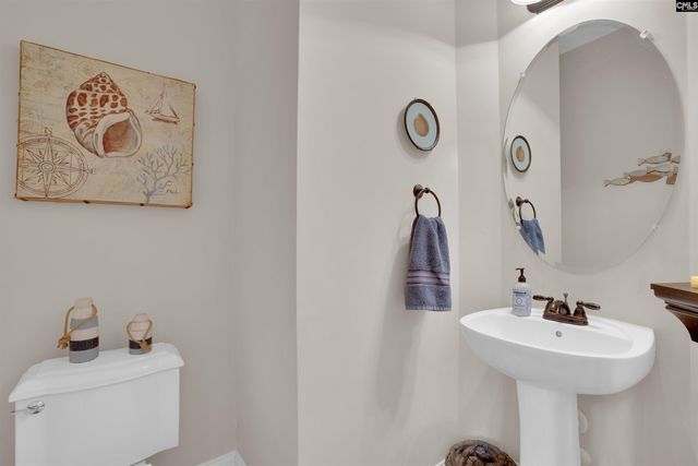 205 Amber Ridge Trail, Irmo, SC 29063