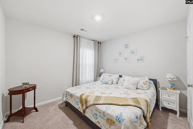 1714 Tabasco Cat Drive, Lexington, SC 29073