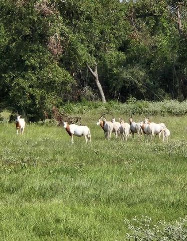 TBD Horseshoe Lake Ranch, Marquez, TX 77865