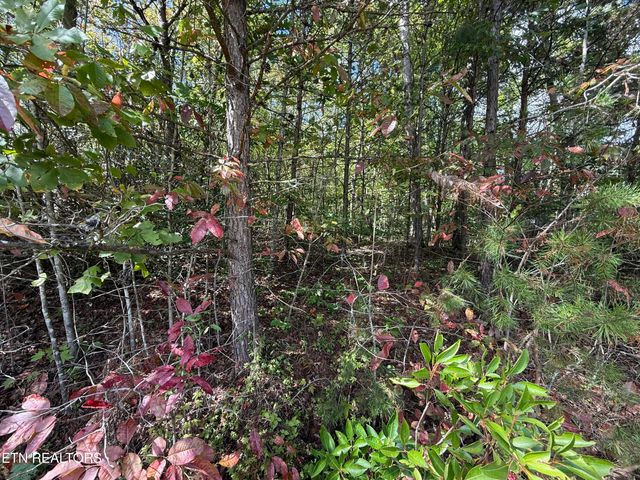 Northwood Place, Jamestown, TN 38556