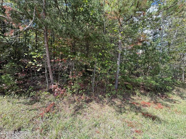 Northwood Place, Jamestown, TN 38556