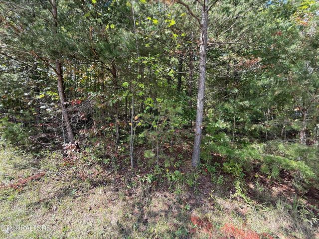 Northwood Place, Jamestown, TN 38556