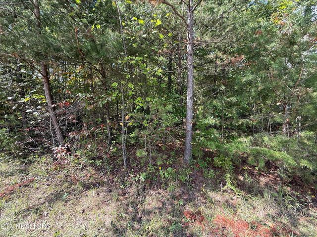 Northwood Place, Jamestown, TN 38556