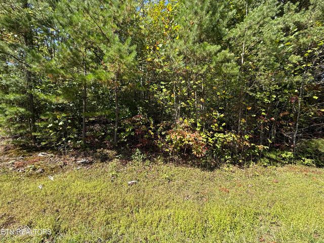 Northwood Place, Jamestown, TN 38556