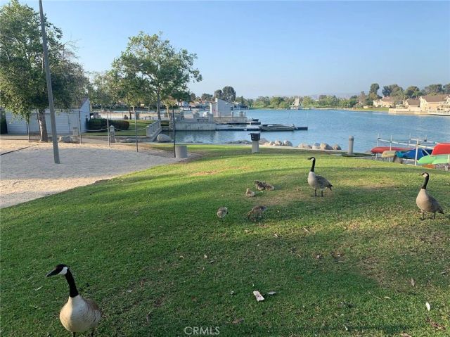 49 Thicket 36, Irvine, CA 92614