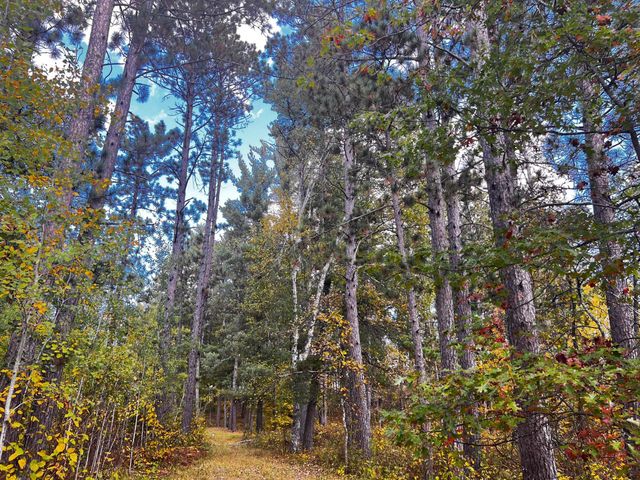 10449 State 113, Park Rapids, MN 56470