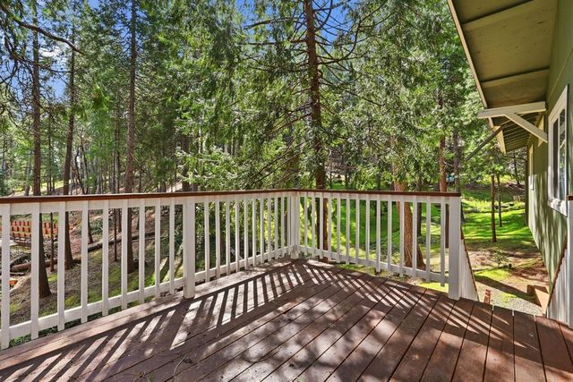 16921 Mckenzie Dr, Pioneer, CA 95666