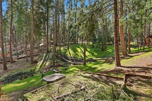 16921 Mckenzie Dr, Pioneer, CA 95666