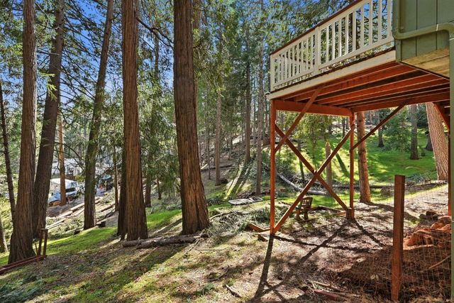 16921 Mckenzie Dr, Pioneer, CA 95666