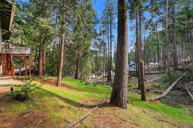 16921 Mckenzie Dr, Pioneer, CA 95666