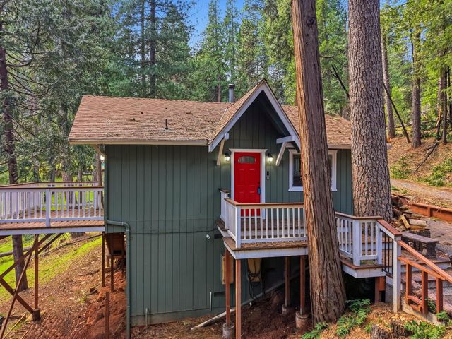 16921 Mckenzie Dr, Pioneer, CA 95666