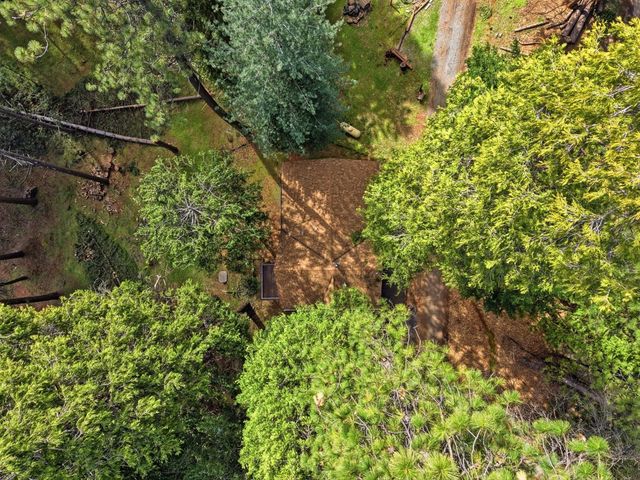 16921 Mckenzie Dr, Pioneer, CA 95666