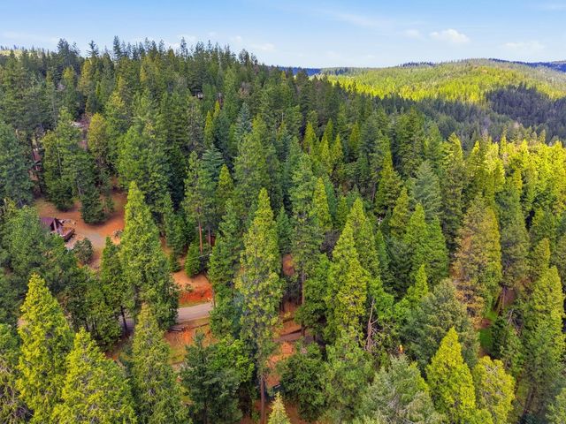 16921 Mckenzie Dr, Pioneer, CA 95666