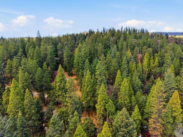 16921 Mckenzie Dr, Pioneer, CA 95666