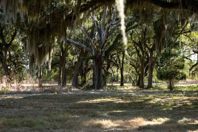 1939 Mauricena Rd., Georgetown, SC 29440