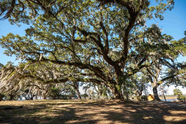 1939 Mauricena Rd., Georgetown, SC 29440