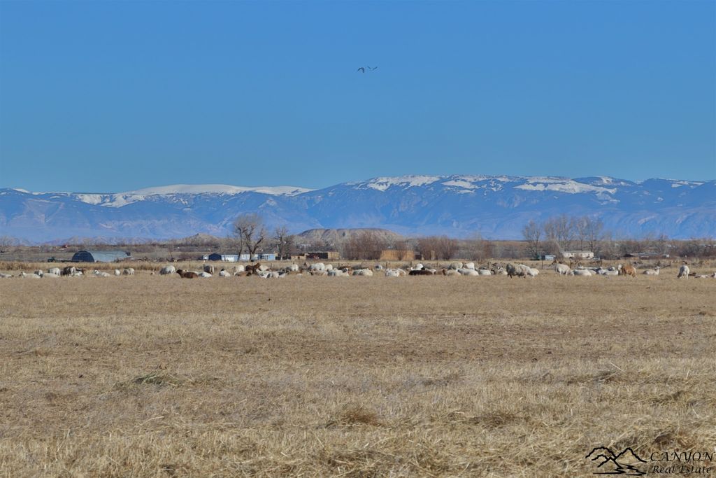 1412 Lane 41, Otto, WY 82434 photo 29