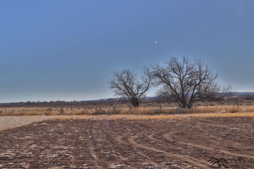 1412 Lane 41, Otto, WY 82434 photo 38