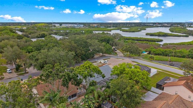 1435 CLUB DRIVE, Tarpon Springs, FL 34689