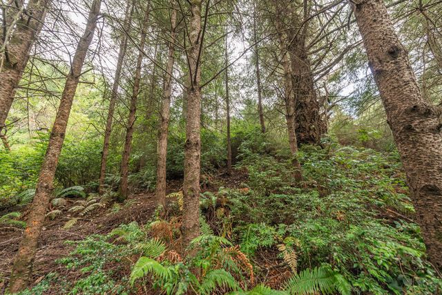 710 Upper Pacific Drive, Shelter Cove, CA 95589