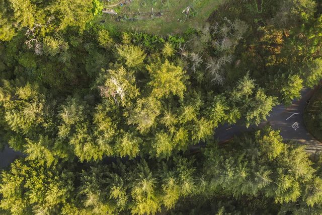 710 Upper Pacific Drive, Shelter Cove, CA 95589