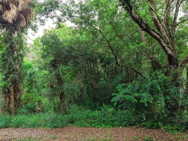 E FRUITLAND STREET, Fruitland Park, FL 34731