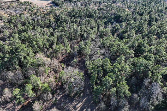 135 Morris Lane, Huntsville, TX 77320