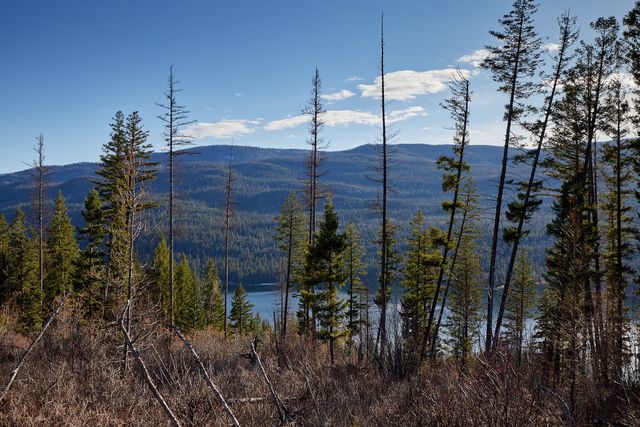 NHN Swan Lake Overlook, Bigfork, MT 59911