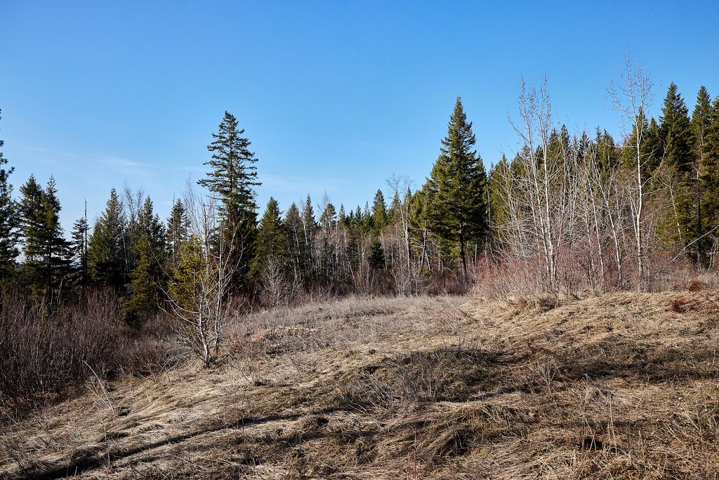 NHN Swan Lake Overlook, Bigfork, MT 59911 photo 11