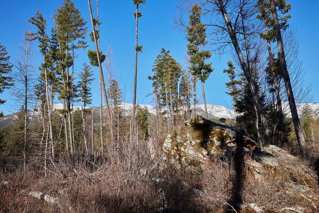 NHN Swan Lake Overlook, Bigfork, MT 59911 photo 13